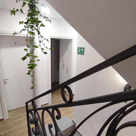 Hotel Paja 3*